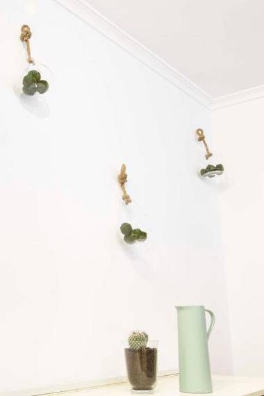 P&P Apartmens Alamos