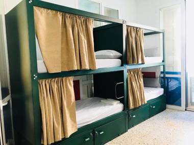 The Urban Jungle Hostel