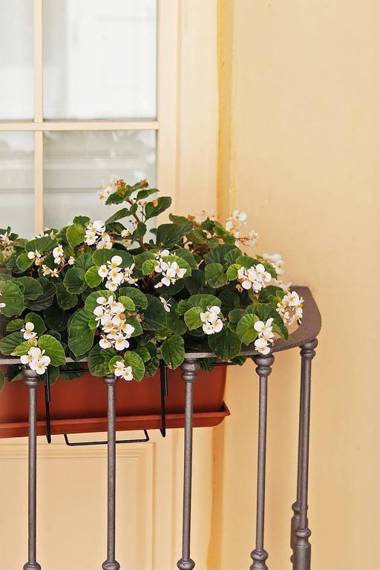 Sánchez Pastor FreshApartments by Bossh! Apartments