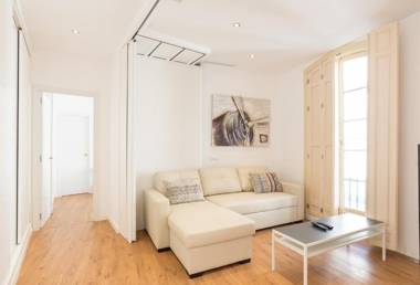 Urbe10 Plaza de la Constitucion 1 Bedroom Apartment