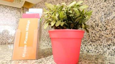 Mártires City Center