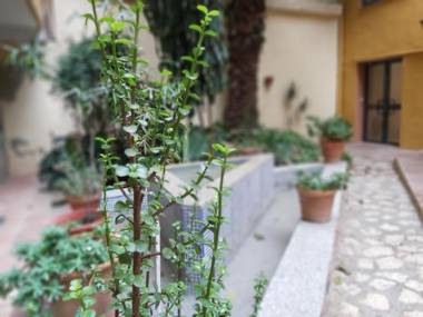 Del parque flats estudio martires