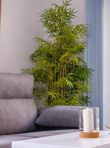 LA ALCAZABA - Exclusive Penthouse