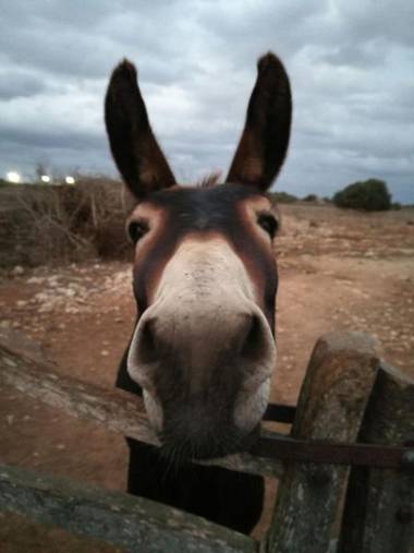 Agroturismo Matxani Gran