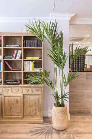 Velázquez 45 by Pillow