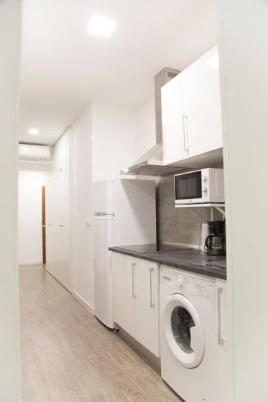 Solfai Vacacional 15