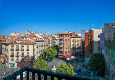 Genteel Home Cava Baja