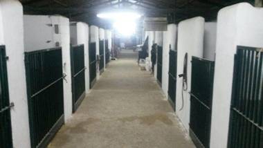 B&B Yeguada La Parrilla