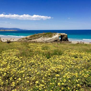 Complejo Rural Casona de Labrada
