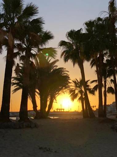 Apartment Las Vistas Beach View
