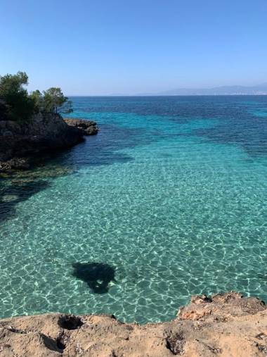 PALMA BAY FRONT LINE