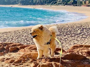 Modern and design studio near the beach with large swimming pools