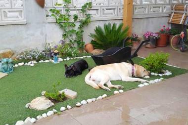 4 bedrooms house with wifi at Ampuero 6 km away from the beach