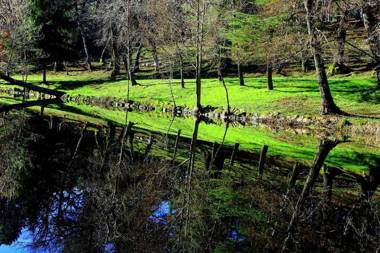 Apartamento La Paloma