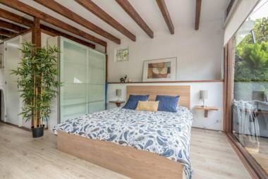 Cottage Strelitzia among Avocados