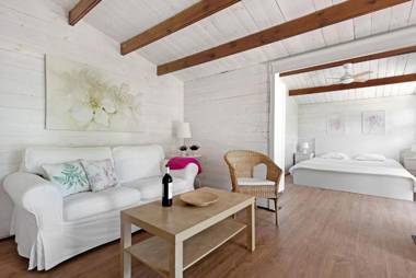 Cottage Hibiscus among Avocados