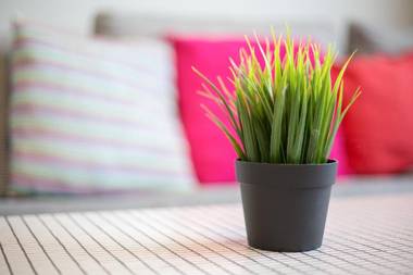 Apartamento Miguel Benitez