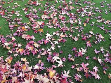 Vil·la La Garriga Termal Congost