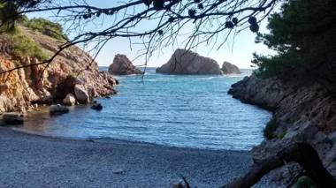 Apartamentos Puig Sureda