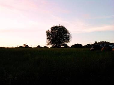 La Ventanita Del Campo