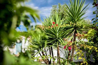 Boutique Hotel Rancho Los Lobos