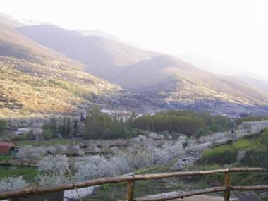 Apartamentos Rurales La Vega del Jerte