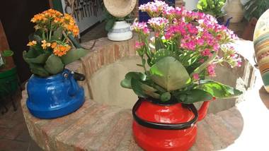 Casa Museo Jerez Centro