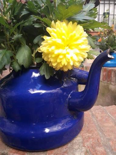 Casa Museo Jerez Centro