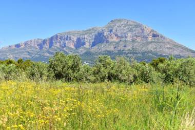 Apartamento La Senia