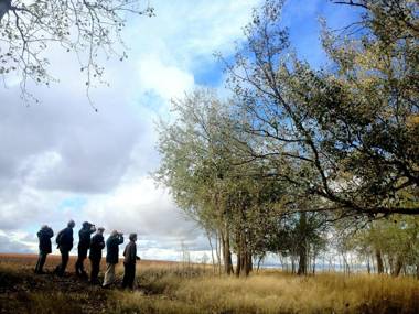 Metsola Apartamentos Rurales