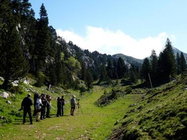 Metsola Apartamentos Rurales