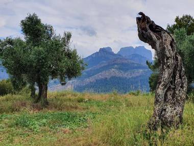 Apartamentos La Venta del Rome