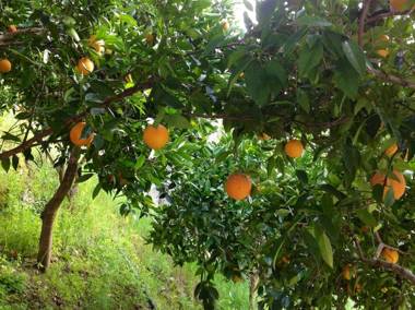 Posada Real Quinta de la Concepción