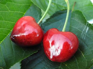 Apartamentos Rurales El Canchal de la Gallina con Piscina de Agua Caliente hasta 15 de Octubre - Jacuzzi - Parking gratuito