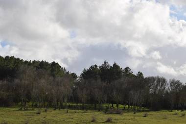 Hotel Restaurante Racha