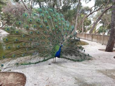 Apartamento Porticada