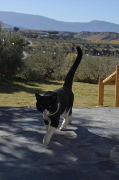 Cuevas Abuelo Ventura