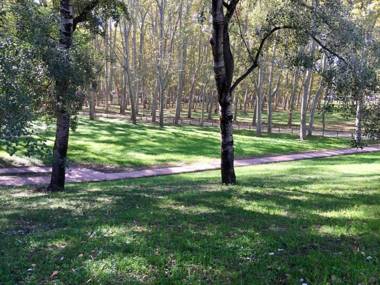 PISO CÉNTRICO DE 100 M2