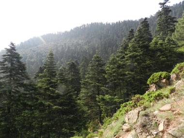 La Posada del Recovero