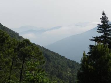 Apartamentos Rurales Jardines del Visir