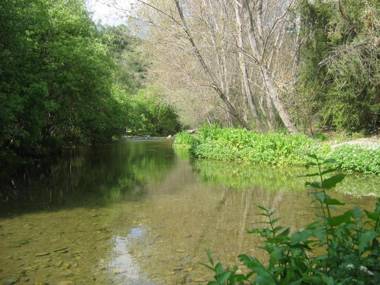 Casas Rurales Jardines del Visir