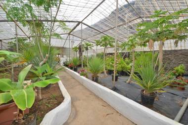 Apartamentos Finca Wapa