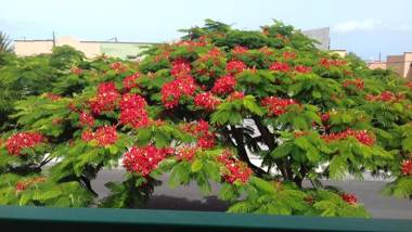 Apartamentos Las Casitas