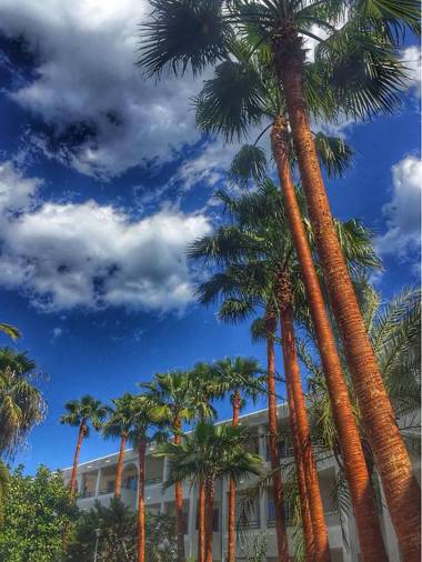 Aparthotel Pierre & Vacances Mallorca Cecilia