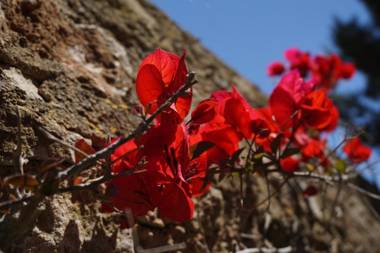 Agroturismo Sa Pletassa