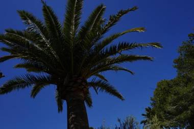 Agroturismo Sa Pletassa