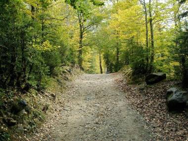 Apartamentos Pirineos Ordesa