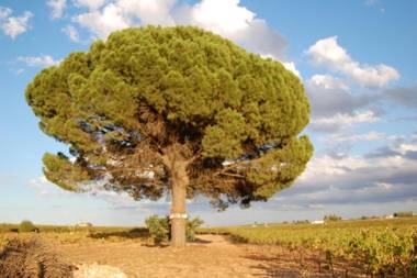 Hosteria Tierrallana by Juypehotel