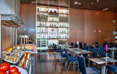 Alexandre Fira Congress