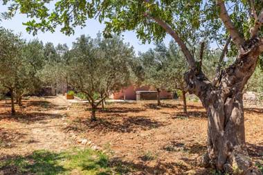 Apartment Hall Of The Mountain